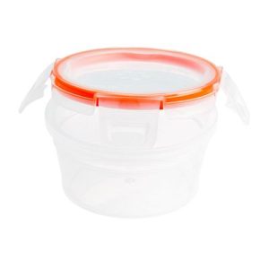 Snapware Total Solution 1.21-cup Plastic Food Storage Container